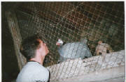 scannen0020.jpg